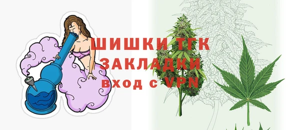 PSILOCYBIN Майский