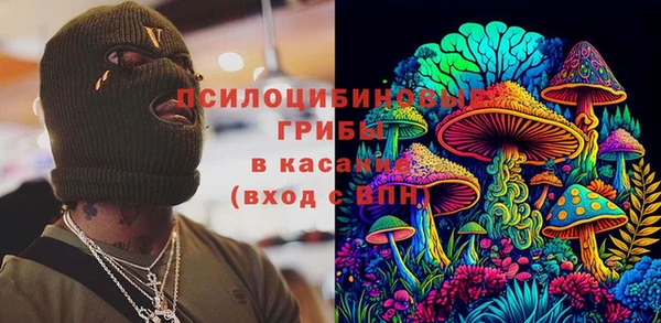 PSILOCYBIN Майский