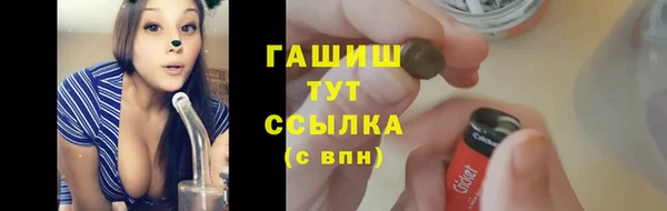 PSILOCYBIN Майский