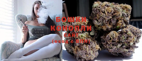 PSILOCYBIN Майский