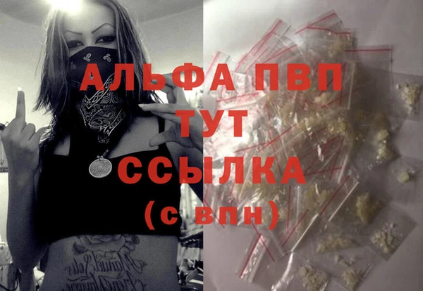 PSILOCYBIN Майский