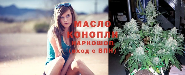 PSILOCYBIN Майский