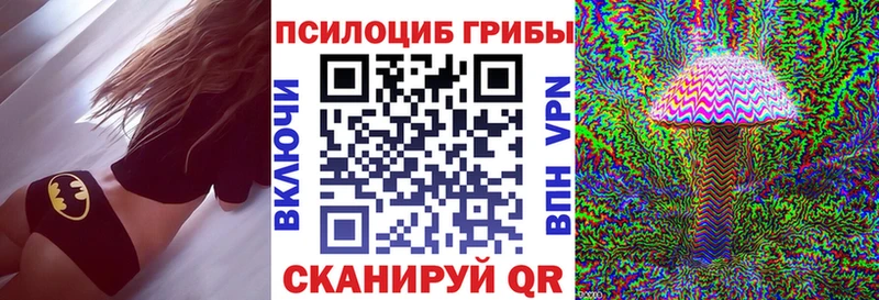 Псилоцибиновые грибы Psilocybe  Навашино 